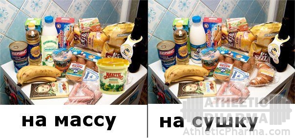 gallery_1196_2_18012.jpg